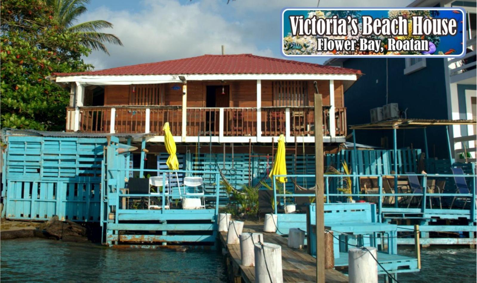 Victoria S Beach House And Snorkeling Center Flowers Bay Exterior photo